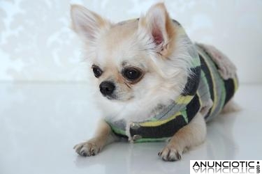 Jerseys para Perros, Ropa Abrigo Perros