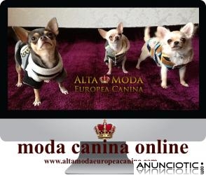 Moda Canina de Calidad y DiseÃ±o, ropa para perros unica y exclusiva