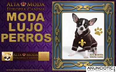 Ropa para Perros, Moda Canina, Ultimos dias de Rebajas