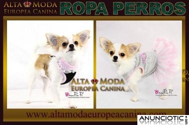 Ropa para Perros, Moda Canina, Vestidos, chandals, chubasqueros,