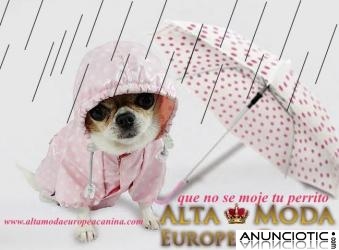 Chubasqueros para Perros, ropa de lluvia para perros