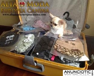 Ropa para Chihuahuas y Razas pequeÃ±as