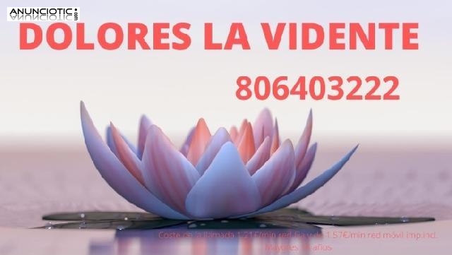 DOLORES LA VIDENTE 806403222 VIDENCIA ECONOMICA