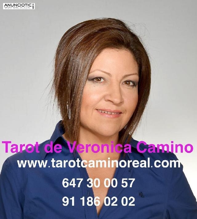 TAROT CAMINO REAL 911 86 02 02 - 647 30 00 57