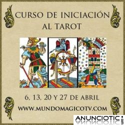 CONSULTA EL TAROT CON LAS VIDENTES DE MUNDO MAGICO TV