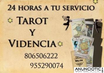 Tarot económico