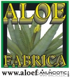 Aloe Vera Fabrica