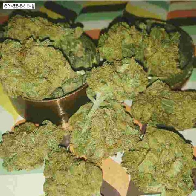 Entrega a domicilio * Moonrock * Blue Dream * Sour Diesel * Girl ScoutCooki