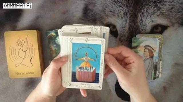 Tarot Barato Flor Celta Cartas Gitanas, Tarot De Amor De Gata