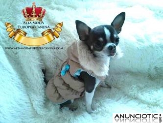 Ropa para Perros. Alta Moda Europea Canina