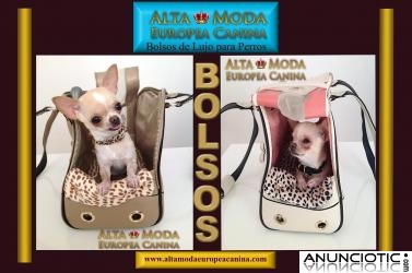 Bolsos de Lujo para Perro. Lleva tu perrito de viaje