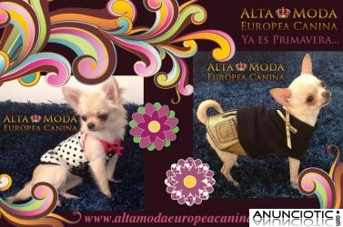 Ropa para Perros, Moda Canina de Primavera