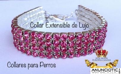 Joyeria Canina, Collares de Lujo para Perros