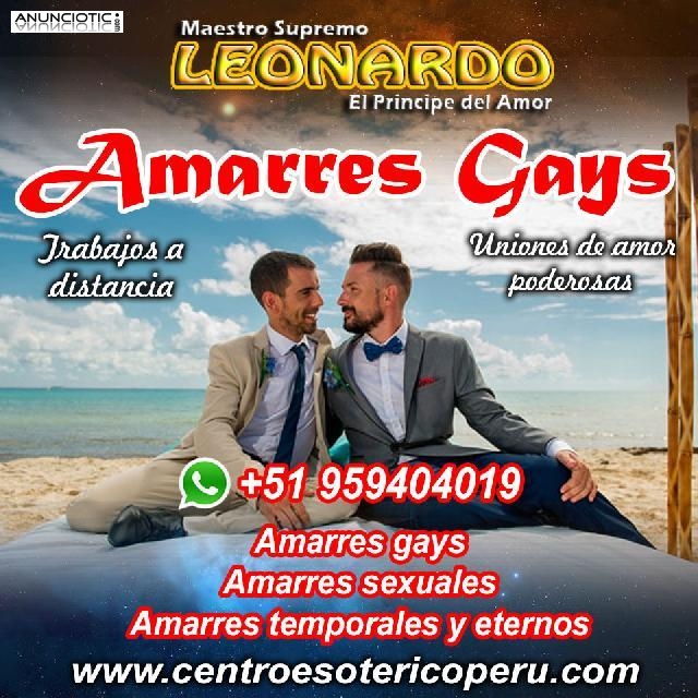 HECHIZOS GAYS TEMPORALES Y ETERNOS