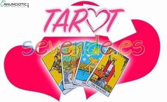 Lectura de tarot la voluntad, sin límite de tiempo 