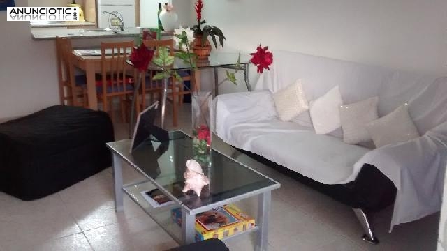 Bonito apartamento en la pineda