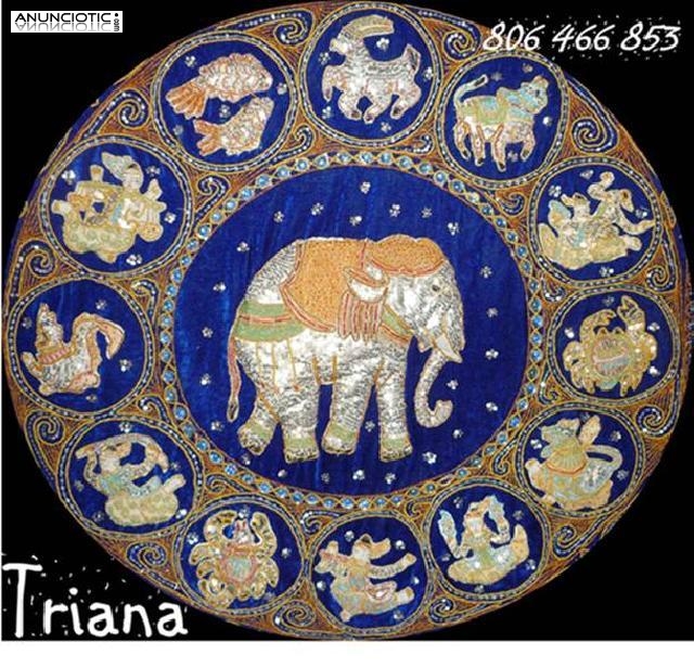 Tarot Triana. No Gabinete