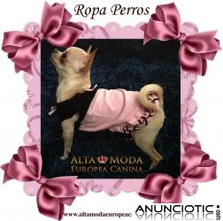 Ropa para Perros PequeÃ±os, Moda Canina