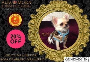 Jerseys para Perros, Moda Canina de Abrigo