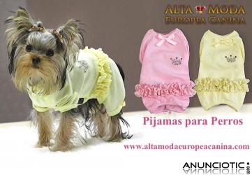 Pijamas y braguitas para perritas