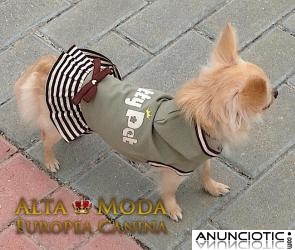 Ropa perros pequeÃ±os, lleva perrito moda