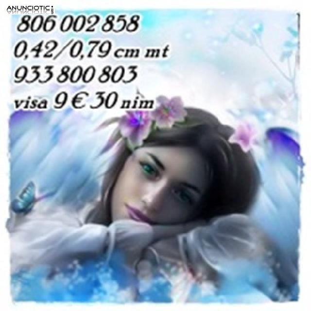 videncia pura 933800803 y806131072