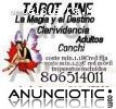Tarot Aine-Clarividencia-80614011