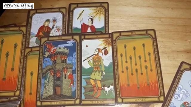 Soñar Con Animales Salvajes, Tarot Trusted Amor