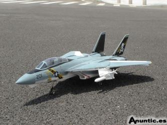 avion f-14 tom cat