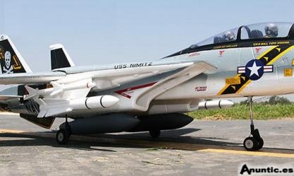 avion f-14 tom cat