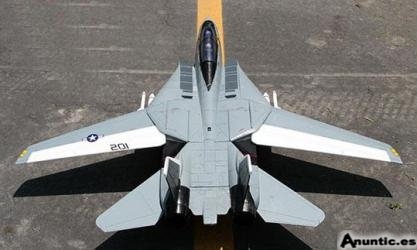 avion f-14 tom cat