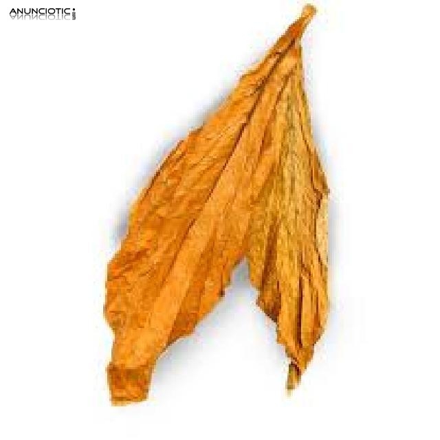 Hoja de Tabaco Natural Virginia Rubio/Negro. 633438735