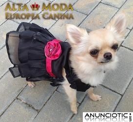 Vestidos para Perritas de Raza PequeÃ±a