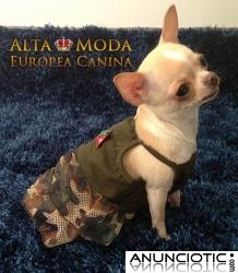 Ropa para Perros, Vestidos para Perritas elegantes