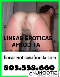 CHICAS LIBERALES BUSCAN SEXO . CONTACTOS PARA FOLLAR 803 558 660 , VICIOSAS