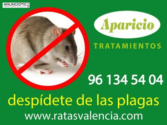 Tratamiento de Fumigación Valencia