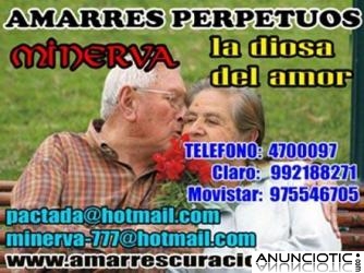 AMARRES  PERPETUOS  BRUJA HECHICERA MINERVA
