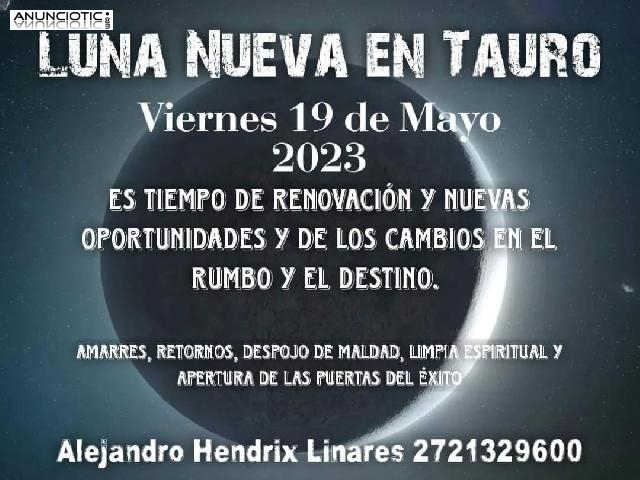 Fuertes trabajos de atracción LUNA NUEVA en Tauro 