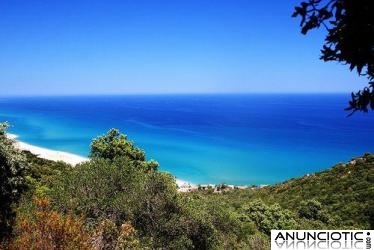 Alquiler vacacional de apartamentos en la isla de Cerdeña