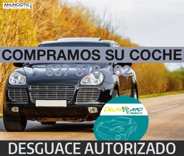 Cat compra coches 