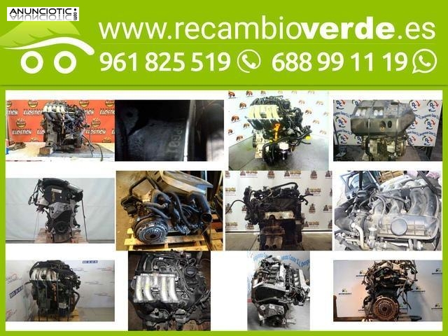 Motor completo leon tipo apg