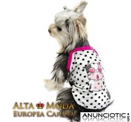 Ropa para Yorkshire Terrier