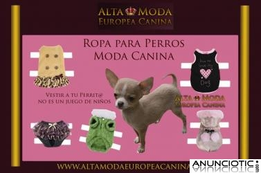 Ropa para Perros, Moda Canina de DiseÃ±o