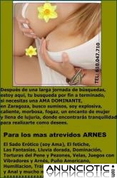 Ama, escorts, masajista prostatica, transformismo y mucho mas