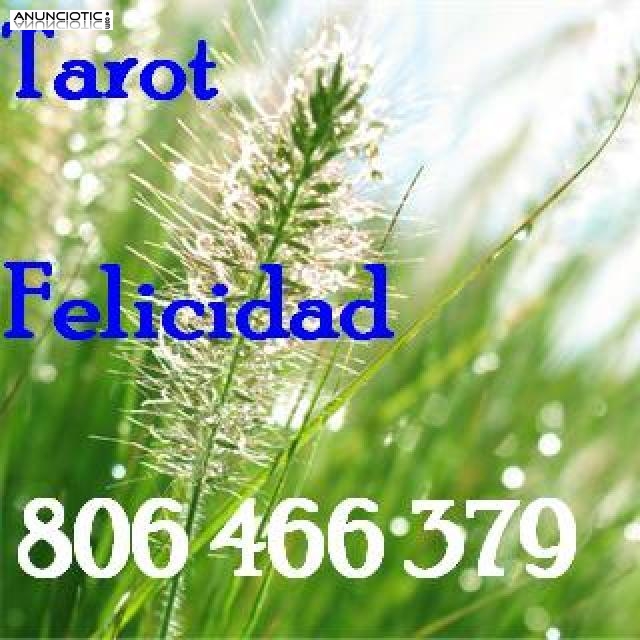 Tarot encantado